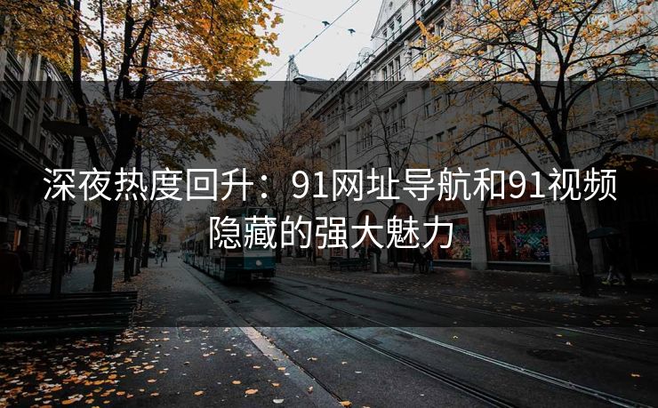 深夜热度回升：91网址导航和91视频隐藏的强大魅力